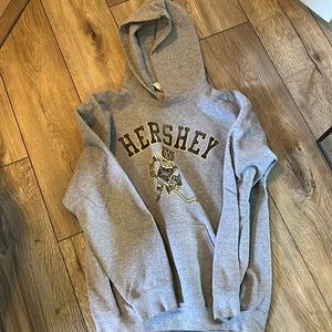 Hershey bears hockey hoodie